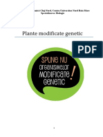 Organisme Modificate Genetic