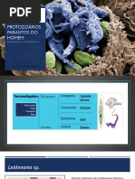 AULA 7 - Protozoários Parasitos Do Homem (Trypanosoma e Leishmania)