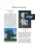 Vadkörte PDF