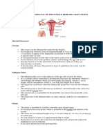 Anatomy and Physiology of The Female Reproductive System