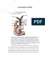 Abdomen Agudo Obstructivo