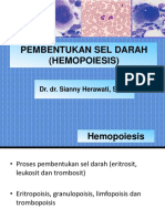 Pembentukan Sel Darah (Hemopoiesis)