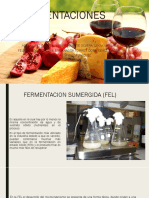 Fermentaciones trametes