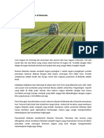 Agrilkultur Pertanian Di Belanda
