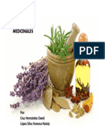 Plantas_medicinales_Seminario_Final_Silva_Nataly.pdf