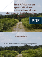 Palma en Chiapas PDF