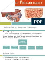 KELENJAR PENCERNAAN