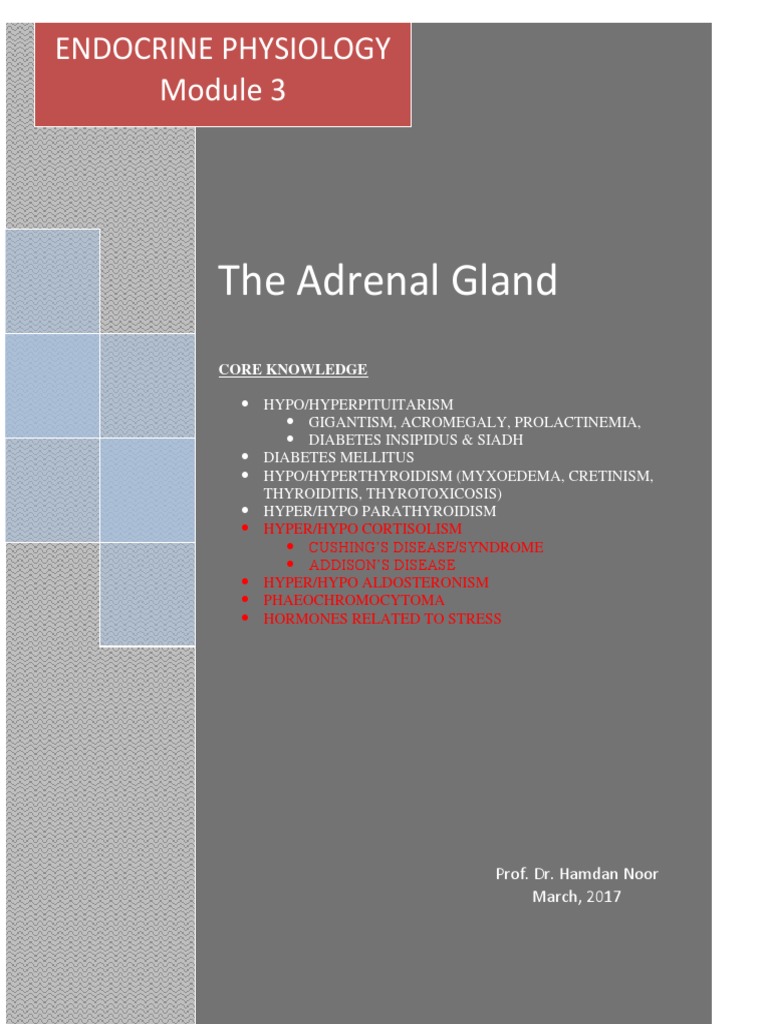 The Adrenal Gland: A Detailed Exploration of Its Hormones and Role in ...