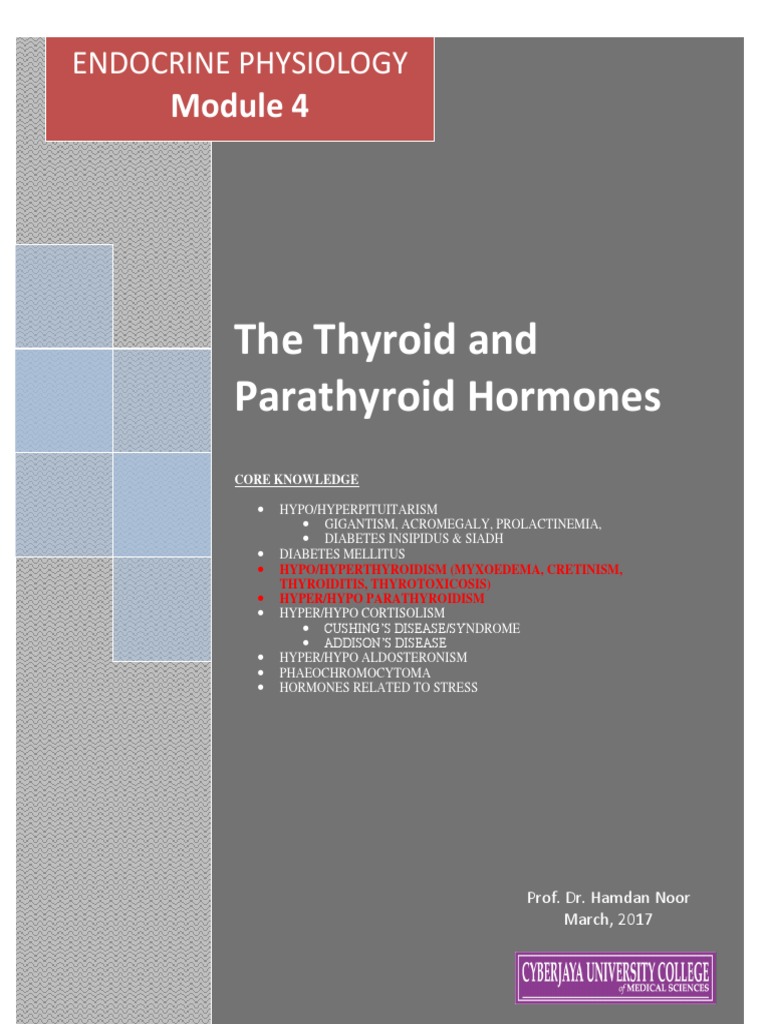 The Thyroid and Parathyroid Glands | PDF | Thyroid Stimulating Hormone ...