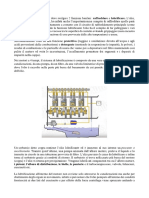 Circuito Di Lubrificazione Olio Motore