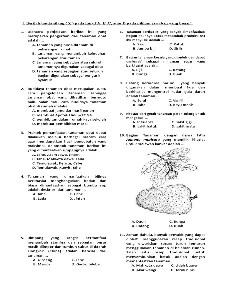 I Berilah Tanda Silang X Pada Huruf A B C Atau D Pada Pilihan Jawaban Yang Benar