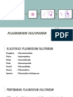 Parasitologi P - Kelompok 1 - Plasmodium Falciparum