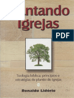 Manual Do Plantador de Igrejas - Tim Keller
