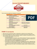 PDF Instructivo para La Postulación Al Voluntariado