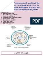 Mecanismo de Accion de Antifungicos