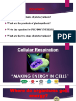 3 - Cellular Respiration Notes