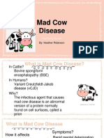 Risk Assessment Envirn Mad Cow Disease-2