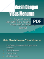 Kuliah III. Mata Merah Visus Menurun