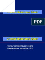 08- Chondroblastome