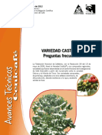 Variedad Castillo PDF