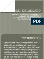 Trabajo Encargado PVT