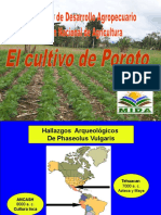 poroto.pdf