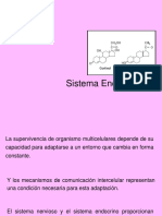 Sistema Endocrino