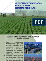 Ecosistema Agrícola