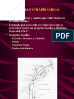 neuroextrap1.ppt