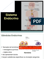 Sistema endócrino.pdf