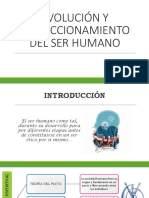 Evolución y Perfeccionamiento Del Ser Humano