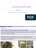 Rotas de Producao de Biodiesel -Incompleto