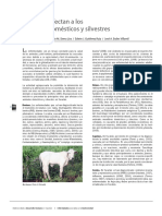 01 Virus que afectan animales.pdf