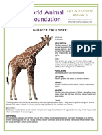 giraffe.pdf