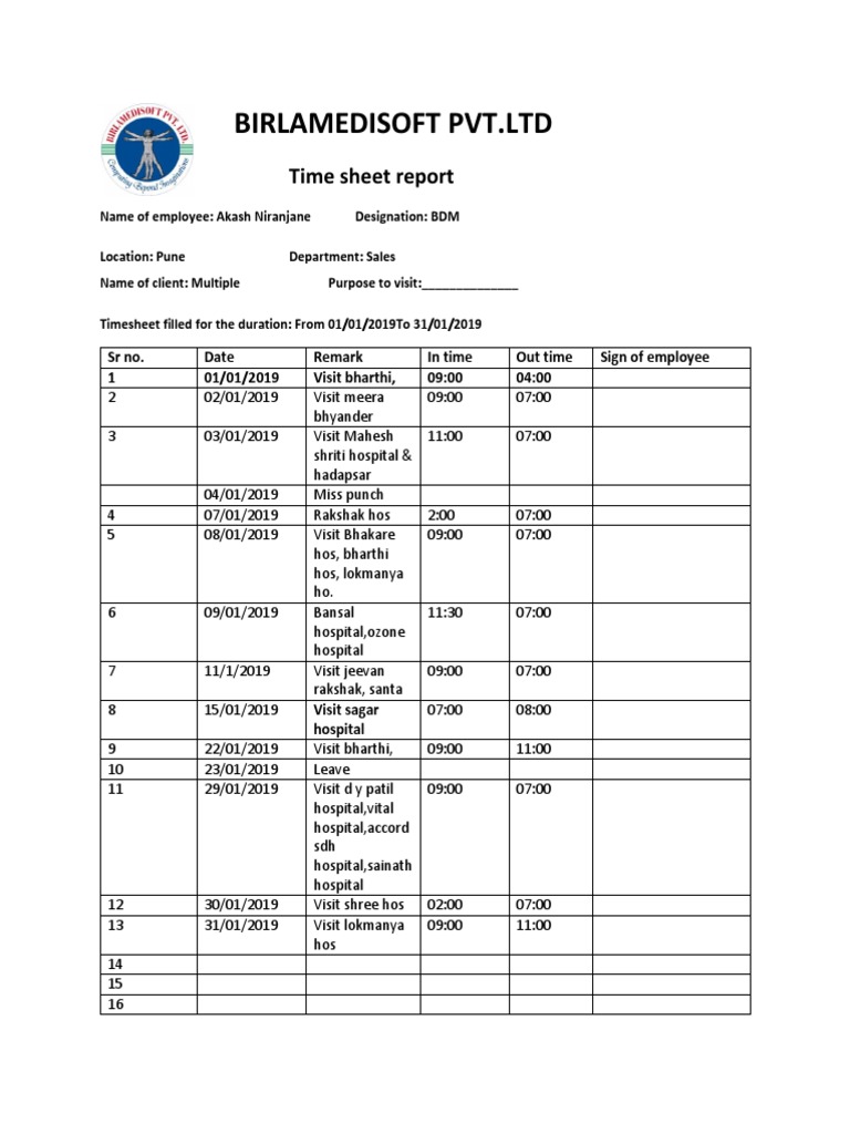 Birlamedisoft PVT - LTD: Time Sheet Report | PDF