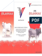 Lembu Brahman Spec