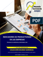 Indicadores de Productividad en Las Empresas