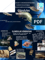 Glándulas venenosas en peces y tiburones