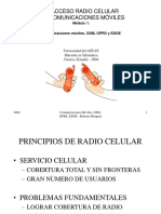 Acceso Celular: Principios de Radio Celular