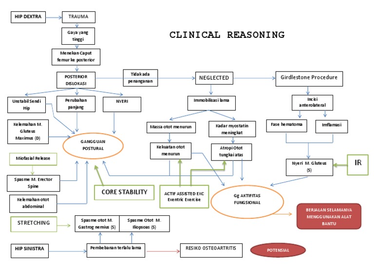 Clinical Reasoning Fisioterapi | PDF