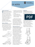 carvus-foot_sp.pdf