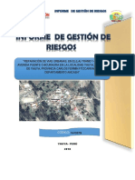 Informe de Gestion de Riesgo - Pistas y Veredas