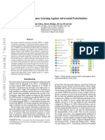 Defense Against Adversarial Perturbations