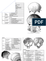 Resumen Huesos Del Craneo y Cara