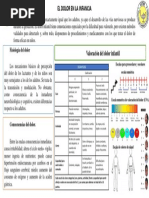 Escala FLACC para Evaluar Dolor Infantil | PDF