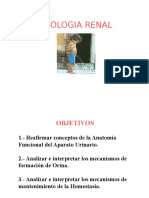 6 Fisiologia Renal