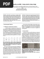 A Bolha Dos Ultrajovens