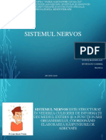 Sistem Nervos