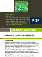 Jaringan Parenkim Kelompok 2