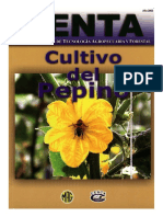 Guia Pepino 2003.pdf
